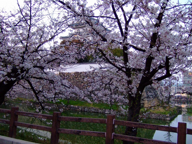 大阪　岸和田　お城祭りより撮り比べ②_e0174074_6144064.jpg