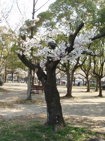 b0092475_2218215.jpg