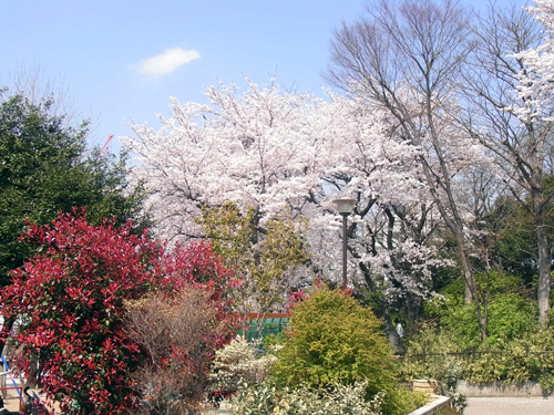 e0008876_14215518.jpg