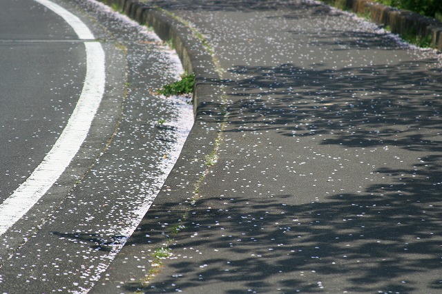f0188177_1638113.jpg