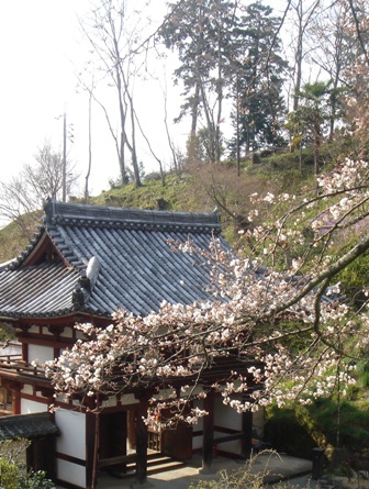 c0135480_14591561.jpg