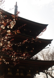 c0135480_1512633.jpg