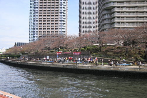 今度は浅草寺_c0152883_2239678.jpg