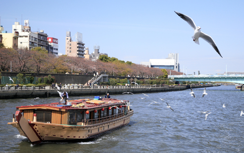 今度は浅草寺_c0152883_22451075.jpg