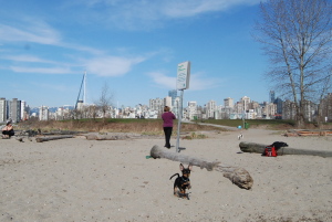 キツラノのワンちゃん達の浜辺です♪_d0129786_16533163.jpg