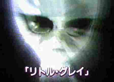 f0144493_8273050.jpg