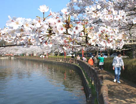 b0114798_17414216.jpg