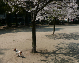 f0146198_084447.jpg