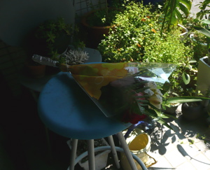 f0146198_14205556.jpg