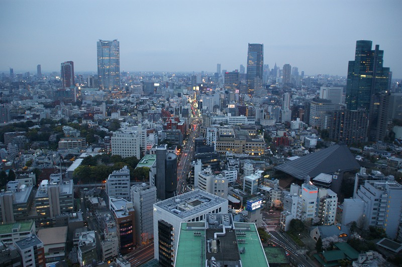 東京タワーから見た景色 秋桜のブログ