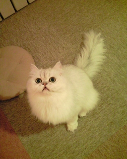 c0181601_022359.jpg