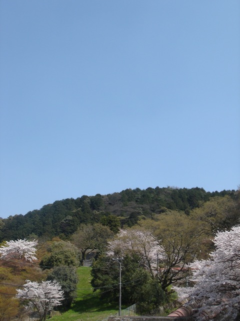 京都　歩きまくり。（また桜）_f0179202_221781.jpg