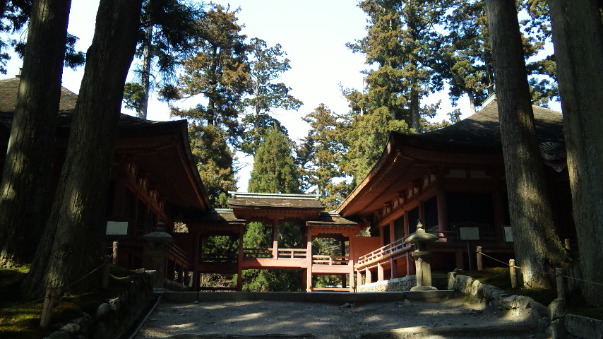 f0144003_19453861.jpg