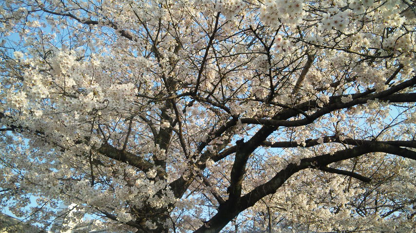 f0144003_2030724.jpg