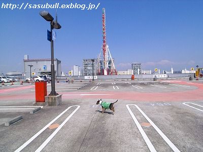 e0145805_21224749.jpg