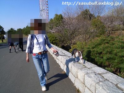 e0145805_2127518.jpg