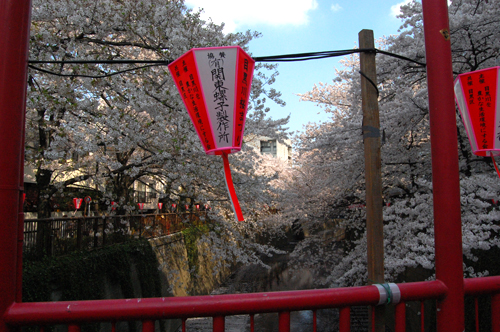 d0015006_159246.jpg