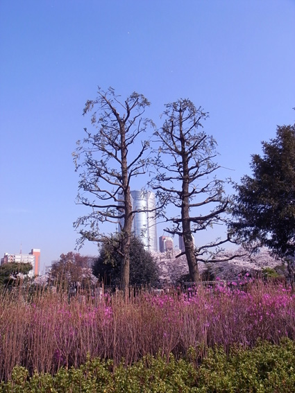 b0167507_20284472.jpg