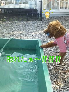 d0148408_19221557.jpg