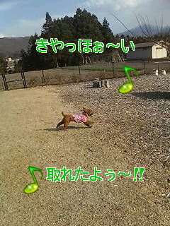 d0148408_19221585.jpg