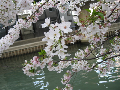 f0180508_16184655.jpg