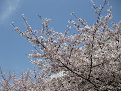 f0180508_1673463.jpg