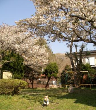 e0078510_14121717.jpg