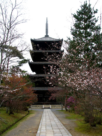 世界遺産 仁和寺_e0048413_22362782.jpg