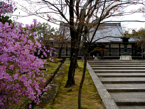 世界遺産 仁和寺_e0048413_22364115.jpg