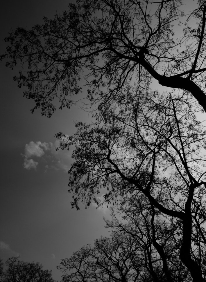 b0148617_0231043.jpg