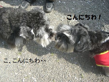 f0197317_17284311.jpg