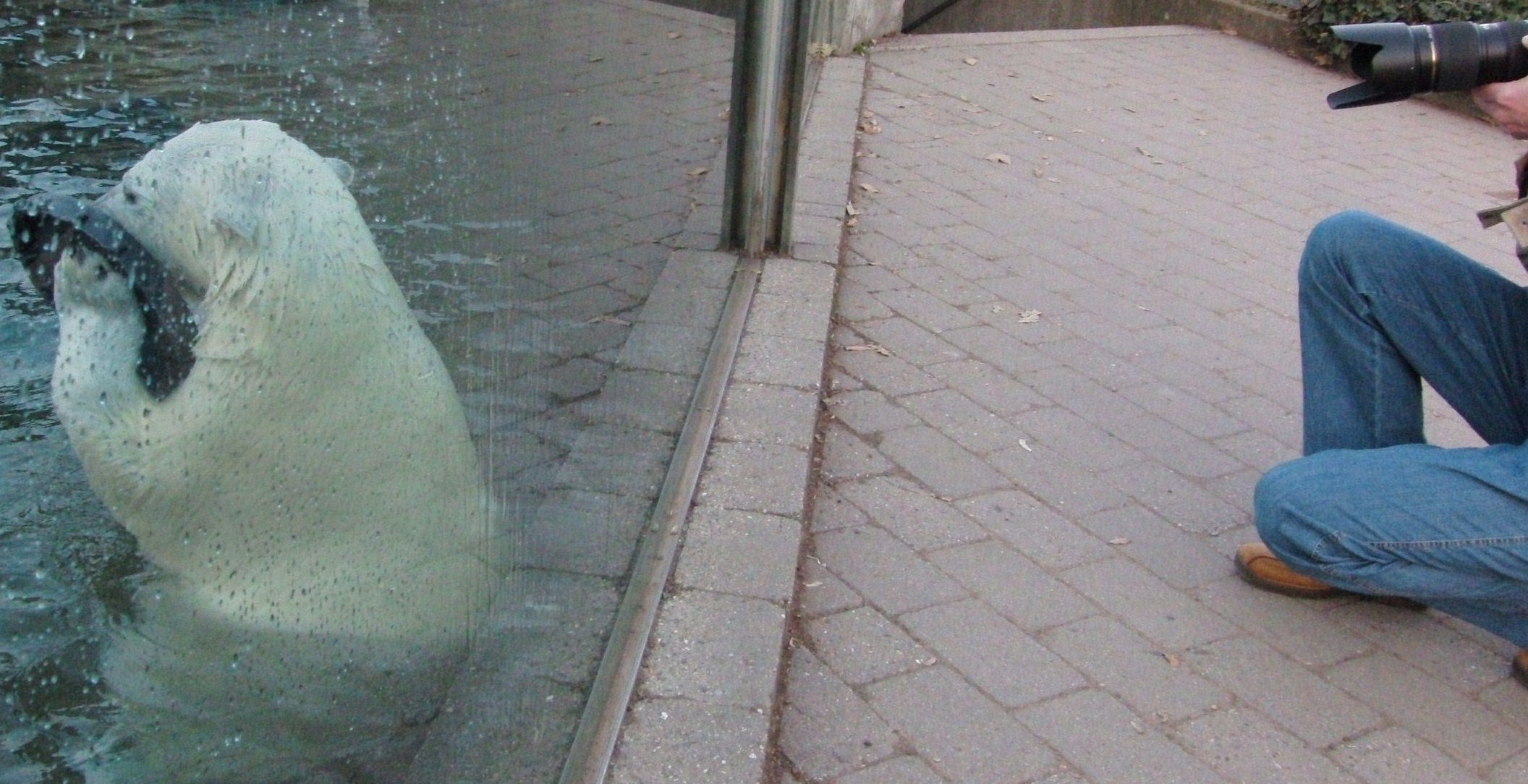 e0163618_23143762.jpg