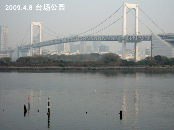 f0199618_1014437.jpg