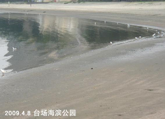f0199618_10161494.jpg