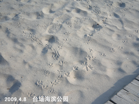 f0199618_1026659.jpg