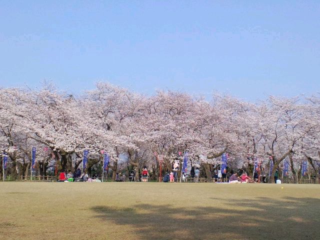 d0098619_1033232.jpg