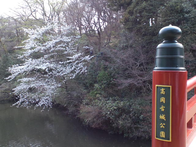 d0098619_9331892.jpg