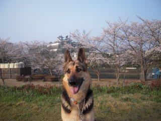 c0090220_1147453.jpg
