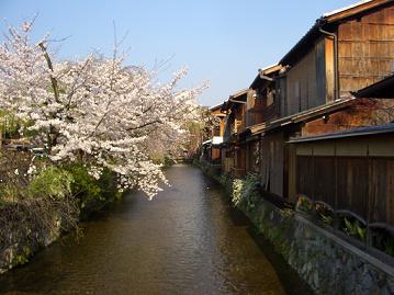 京都の桜１　　辰巳神社編_e0062521_032512.jpg