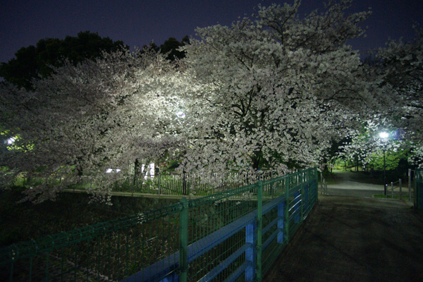 a0068424_22152590.jpg