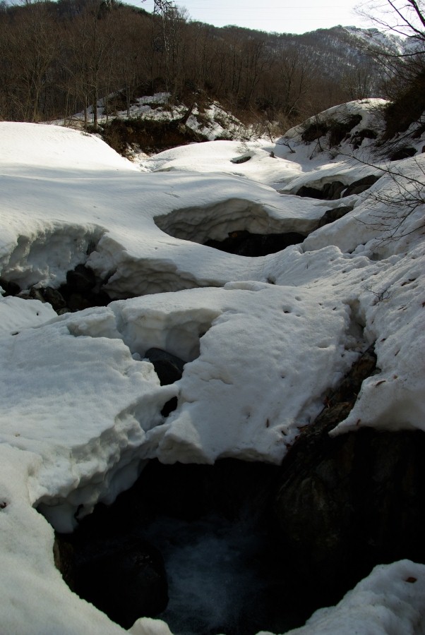 b0062024_2156485.jpg
