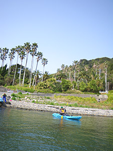 d0023725_15353728.jpg