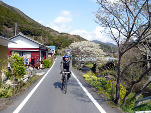 d0023725_15363648.jpg