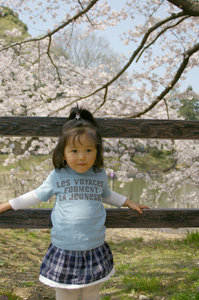 三ツ池公園でお花見_f0108925_22383758.jpg