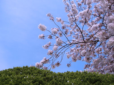 f0028928_23583242.jpg