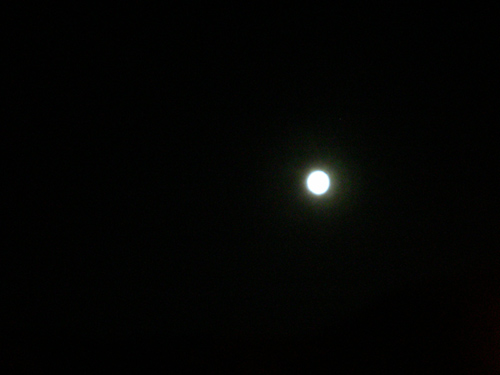 e0037129_20334259.jpg