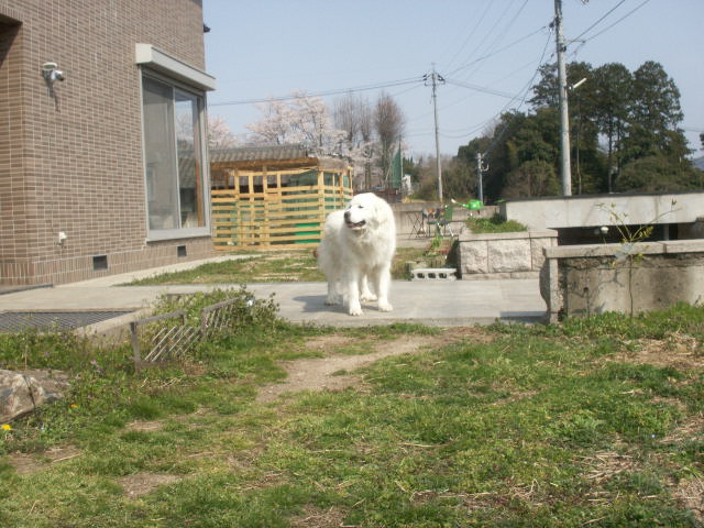 b0127531_19214284.jpg