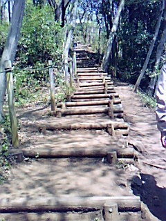 b0137932_1715566.jpg