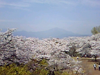 b0137932_17164888.jpg
