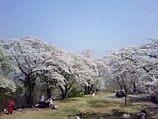 b0137932_17172373.jpg